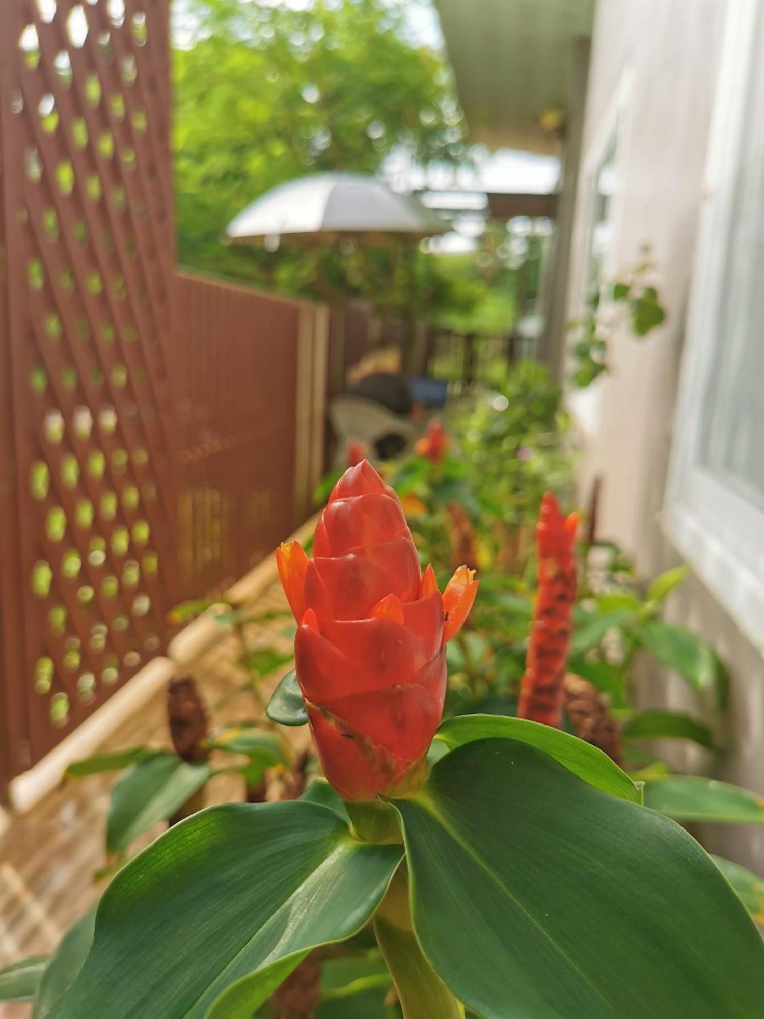 De​ Lanta place Ko Lanta Buitenkant foto