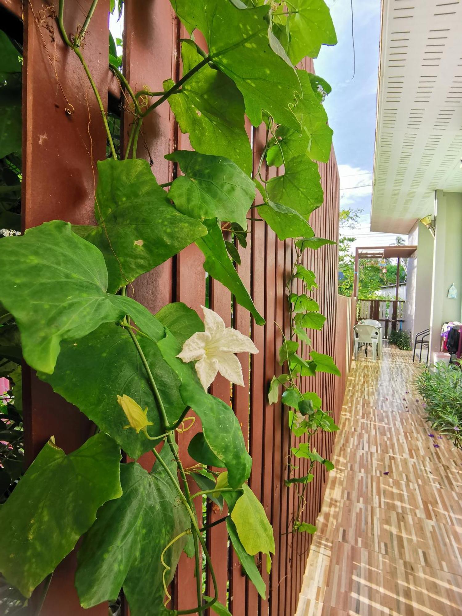 De​ Lanta place Ko Lanta Kamer foto
